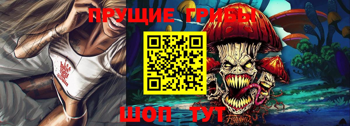 Лесосибирск  Галлюциногенные грибы Psilocybe  Вход с VPN 