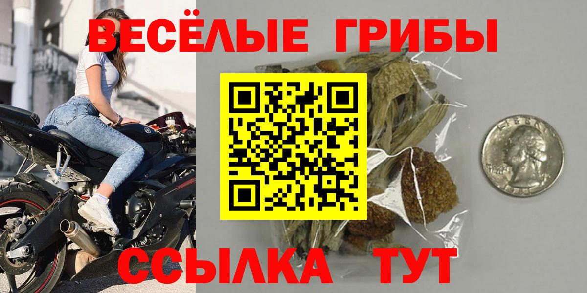 Галлюциногенные грибы Cubensis Лесосибирск